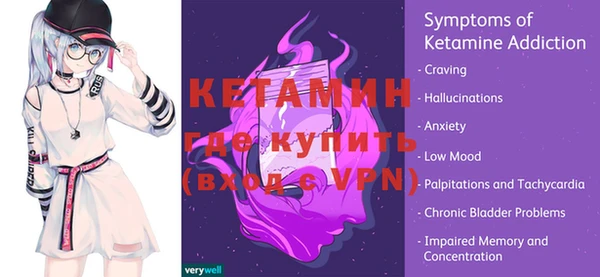 стаф Каменногорск