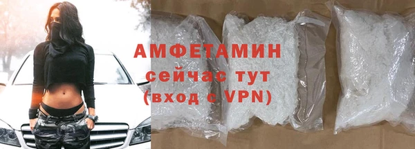 стаф Каменногорск