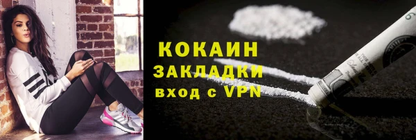 стаф Каменногорск