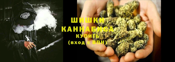 стаф Каменногорск