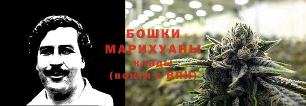 прущая мука Каменка