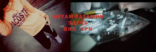 стаф Каменногорск