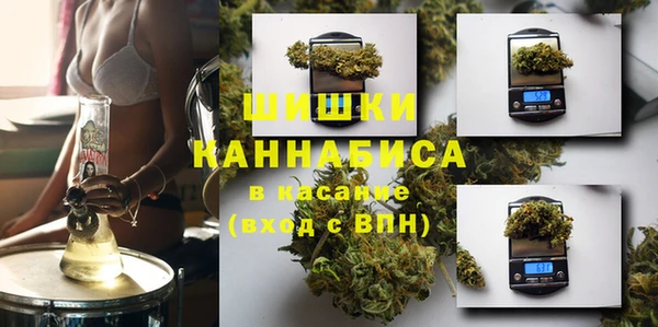 прущая мука Каменка