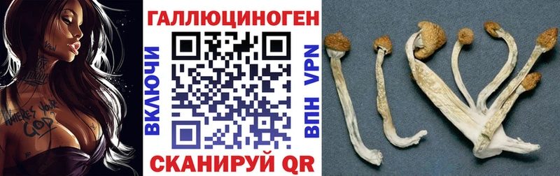 Псилоцибиновые грибы Psilocybe  Семикаракорск 